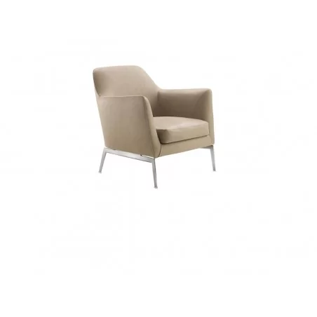 Luce 扶手椅 Flexform