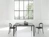 Living Divani Ticino chair in a room