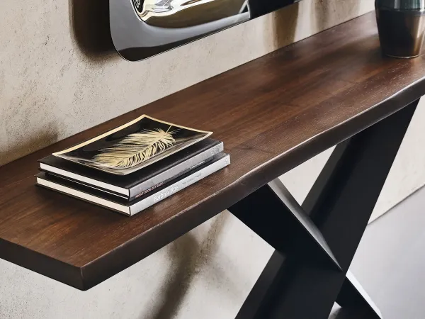Detalles de la consola Terminal