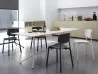 Colander Sedia Kristalia