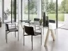 Chaises Ombra de Lema dans un espace de vie