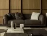 Echoo sofa by Living Divani in a living area