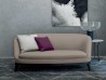 Il divano Dragonfly di Flexform in una zona living