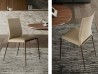 Cattelan Italia Eva 椅子在客厅区域