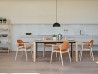 The Woody table by Midj in a dining room