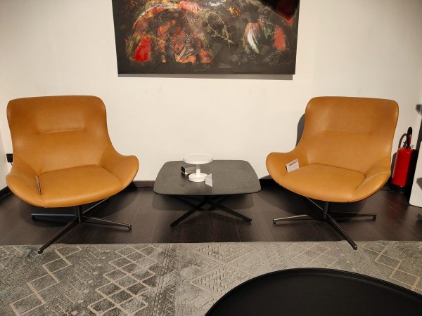Living Divani Oolong Armchair - Sales