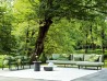 Allegra Armchair Varaschin | Outdoor Furniture | Mobilificio Marchese