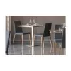 Dress Low Back Chair