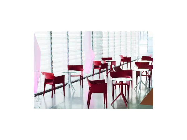 Africa Chair
