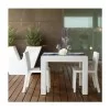 Africa Chair