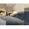 Arketipo Crazy Dream Bed
