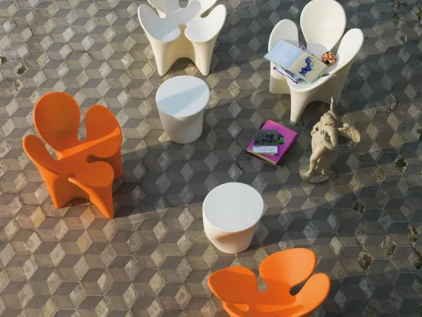 Driade Clover Armchair special offer