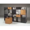 Flexform Infinity Bookcase unit for living room