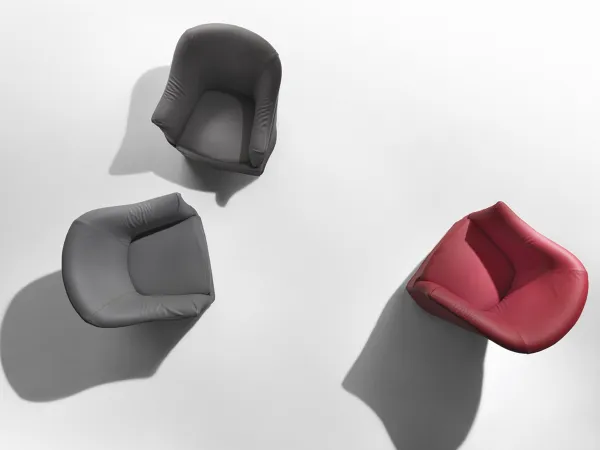 Doralice Poltrona Flexform
