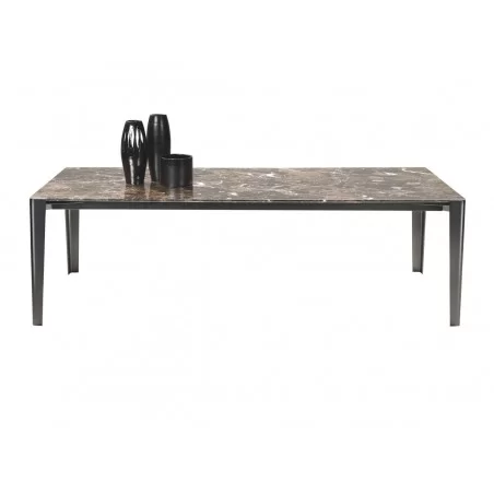 Iseo Tisch Flexform