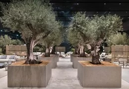 Sustainable Furniture: A Journey into Responsible Design